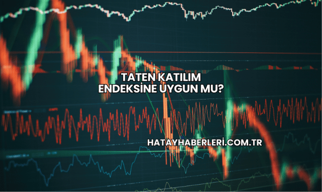Taten Katılım Endeksine Uygun mu?