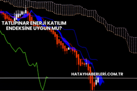 Tatlıpınar Enerji Katılım Endeksine Uygun mu?