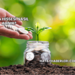 Tesla Hissesi Nasıl Alınır?