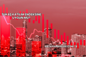 Tukaş Katılım Endeksine Uygun mu?