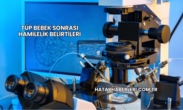 Tüp Bebek Sonrası Hamilelik Belirtileri