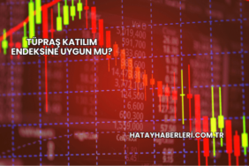 Tüpraş Katılım Endeksine Uygun mu?
