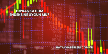 Tüpraş Katılım Endeksine Uygun mu?