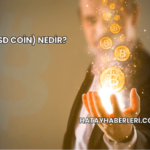 USDC (USD Coin) Nedir?