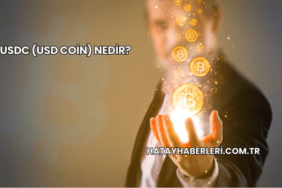 USDC (USD Coin) Nedir?