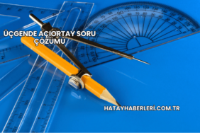 Üçgende Açıortay Soru Çözümü