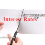 VİOP Yatırımı Mantıklı mı?