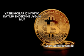 Yatırımcılar İçin YGYO Katılım Endeksine Uygun mu?