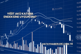 Yiğit Akü Katılım Endeksine Uygun mu?