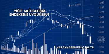 Yiğit Akü Katılım Endeksine Uygun mu?