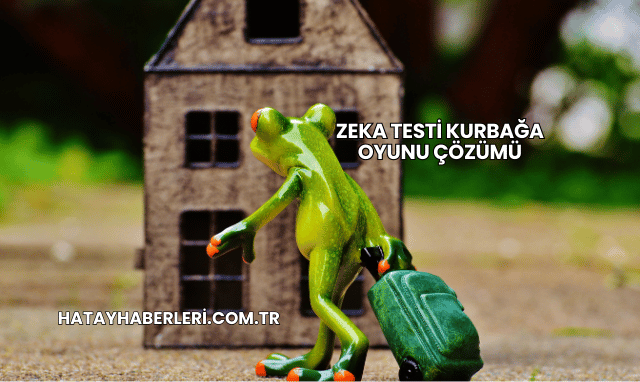 Zeka Testi Kurbağa Oyunu Çözümü