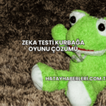 Zeka Testi Kurbağa Oyunu Çözümü