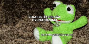 Zeka Testi Kurbağa Oyunu Çözümü