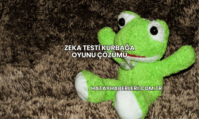 Zeka Testi Kurbağa Oyunu Çözümü