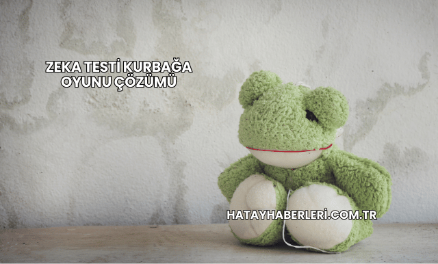 Zeka Testi Kurbağa Oyunu Çözümü