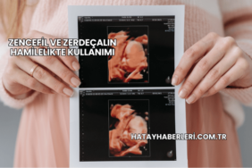 Zencefil ve Zerdeçalın Hamilelikte Kullanımı