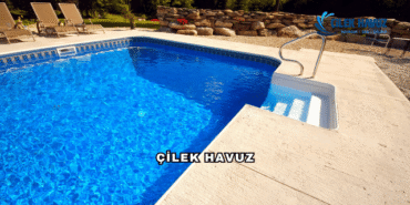 Çilek Havuz Hakkında Detaylı Bilgiler