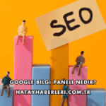 Google Bilgi Paneli Nedir?