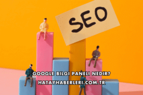 Google Bilgi Paneli Nedir?