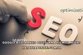 Google Bilgi Paneli Oluşturma Hizmeti Nedir?